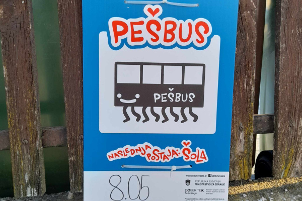 pesBUS_3A-5