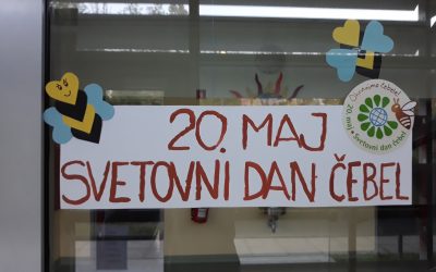 20. maj: svetovni dan čebel