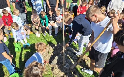 »Najboljši čas za sajenje drevesa je bil pred dvajsetimi leti, drugi najboljši čas je sedaj.«