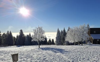 Prihod iz zimske šole v naravi 5. razred